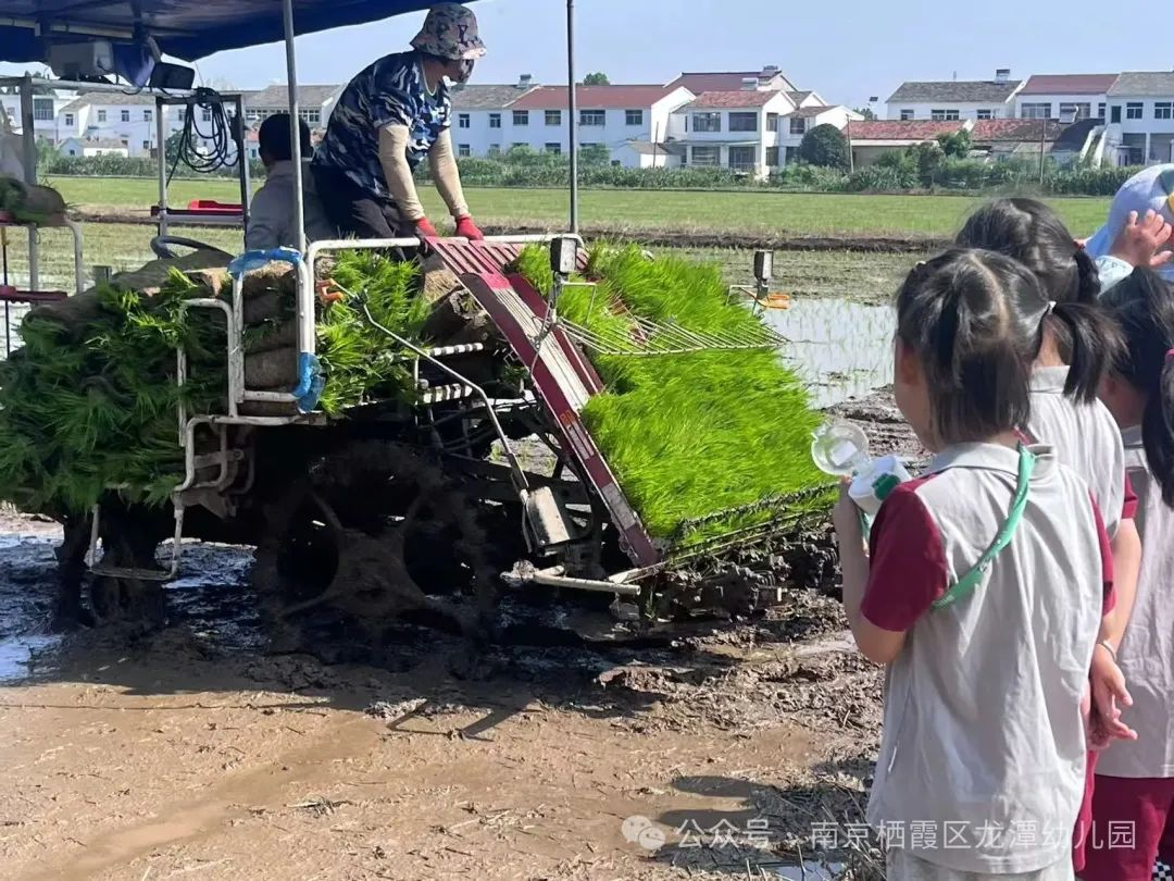 【乐活龙幼·乐享童年】田趣插秧，乐享自然 --龙潭幼儿园靖安分园中班组社区活动