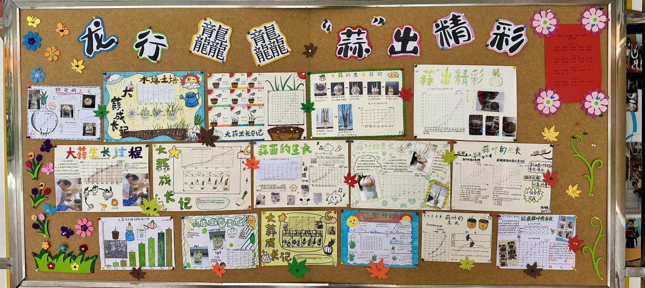 20240412五年级数学实践活动报道_html_m3878568d.jpg
