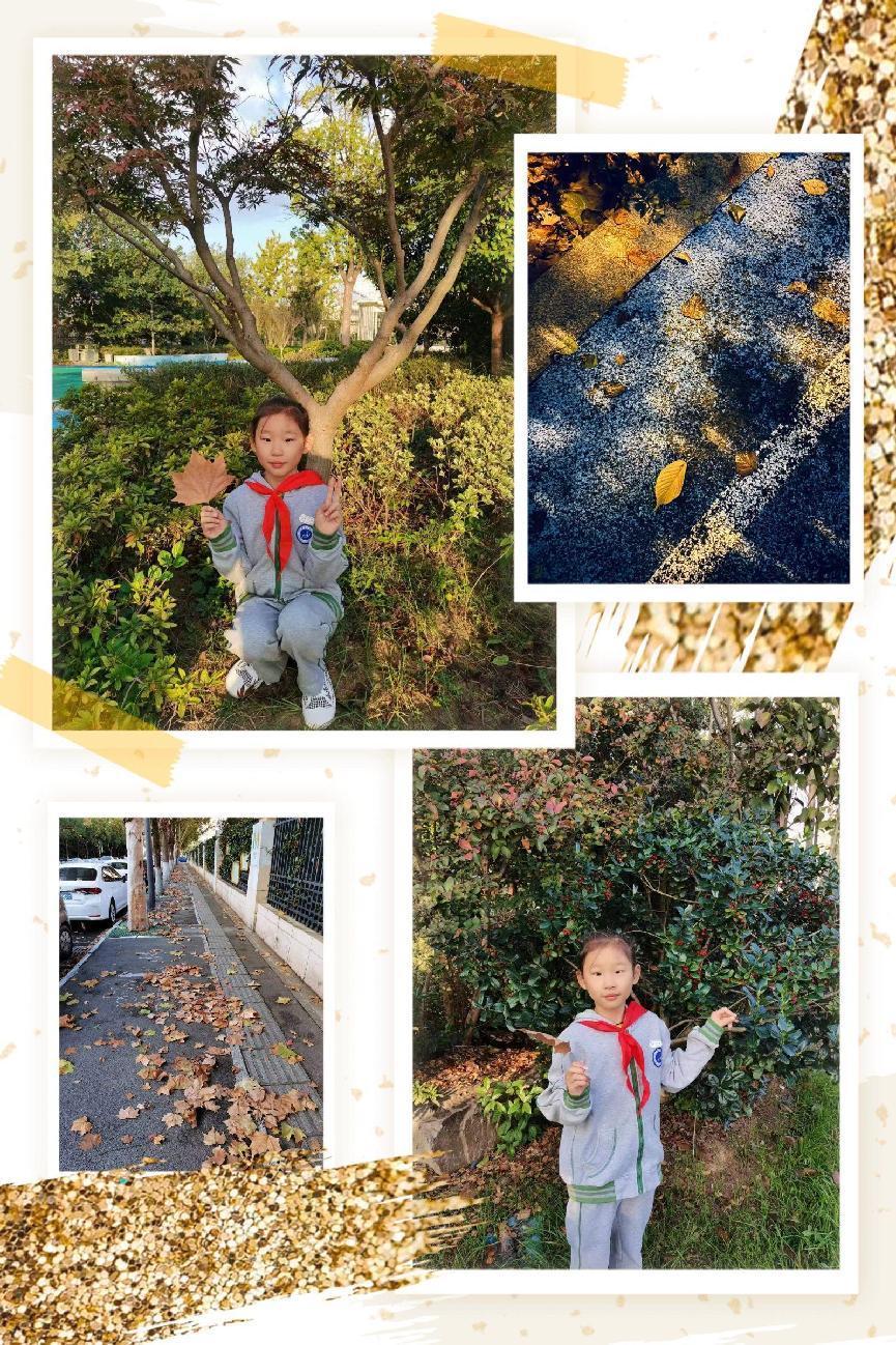 秋天有hua说——南湾营小学三年级语文实践活动_html_m53c0fe77.jpg