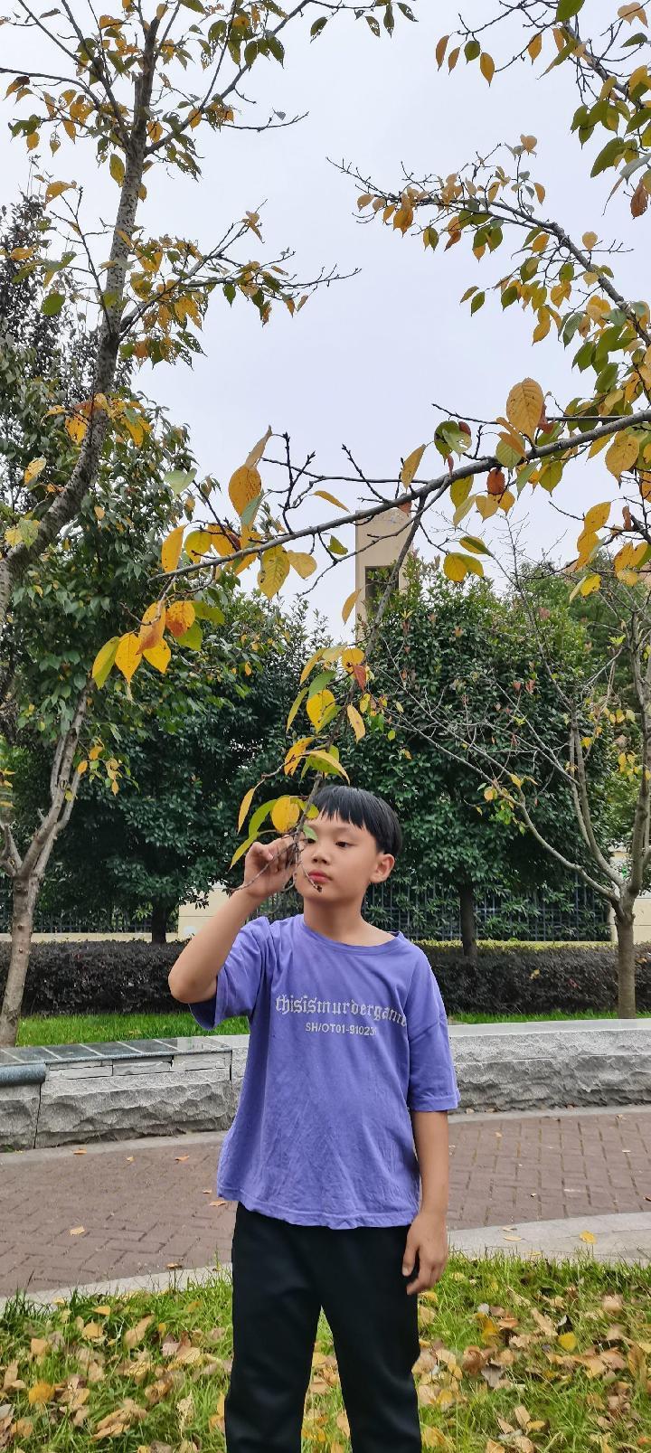 秋天有hua说——南湾营小学三年级语文实践活动_html_m1841a5ed.jpg