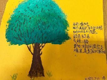 植物记录卡 亲近大自然_html_2f92f9a3.jpg