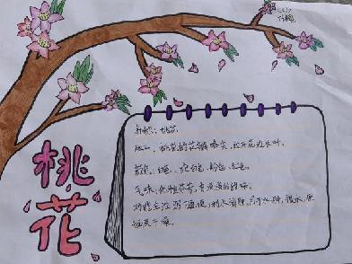 植物记录卡 亲近大自然_html_5ebe2b53.jpg