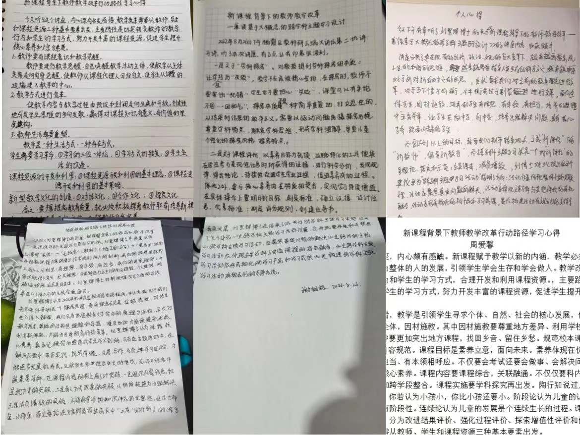 【绿色华中·教科研】南外仙林分校华侨城中学教师参与“栖霞教科研云端大讲坛第二十九讲”活动