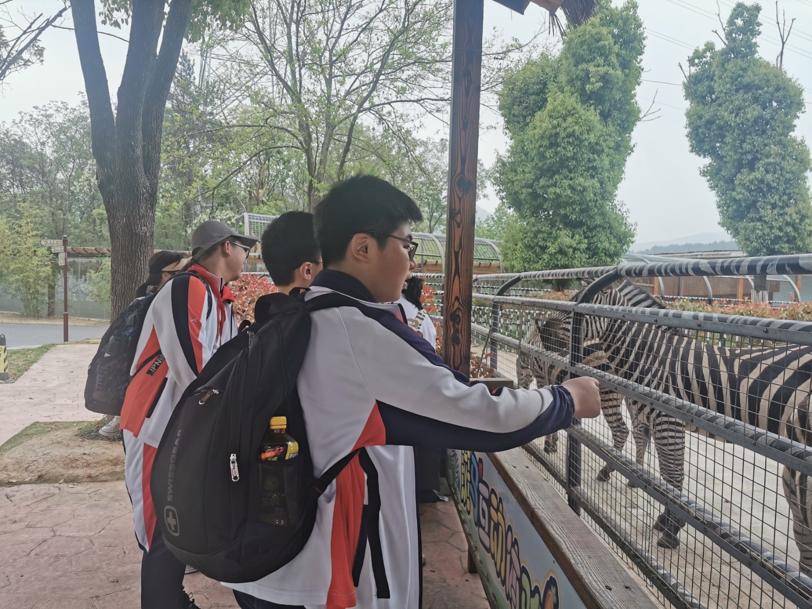 86a65cceab7f1ca95dee9f7e6dcb2e1.jpg
