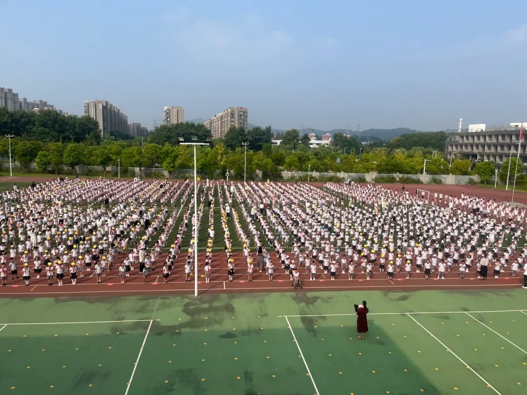 97.jpg
