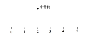 敞开课堂：为儿童的认知发展提供多元路径