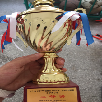 足球成果统计