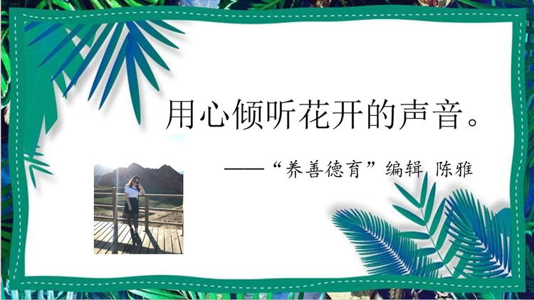 南京市幕府山庄小学始建于2000年_html_1a4486b9.jpg