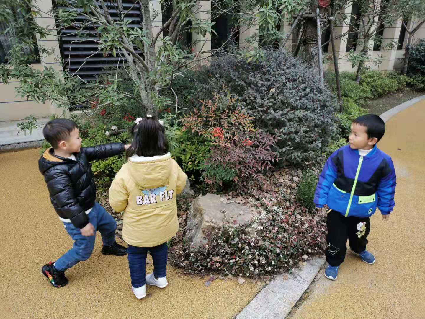 图片 4.jpg