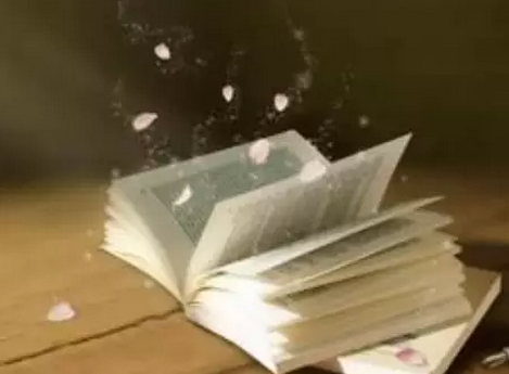 童心同研分享3也要有自己的主见——徐佳_html_m7e73aa3d.png