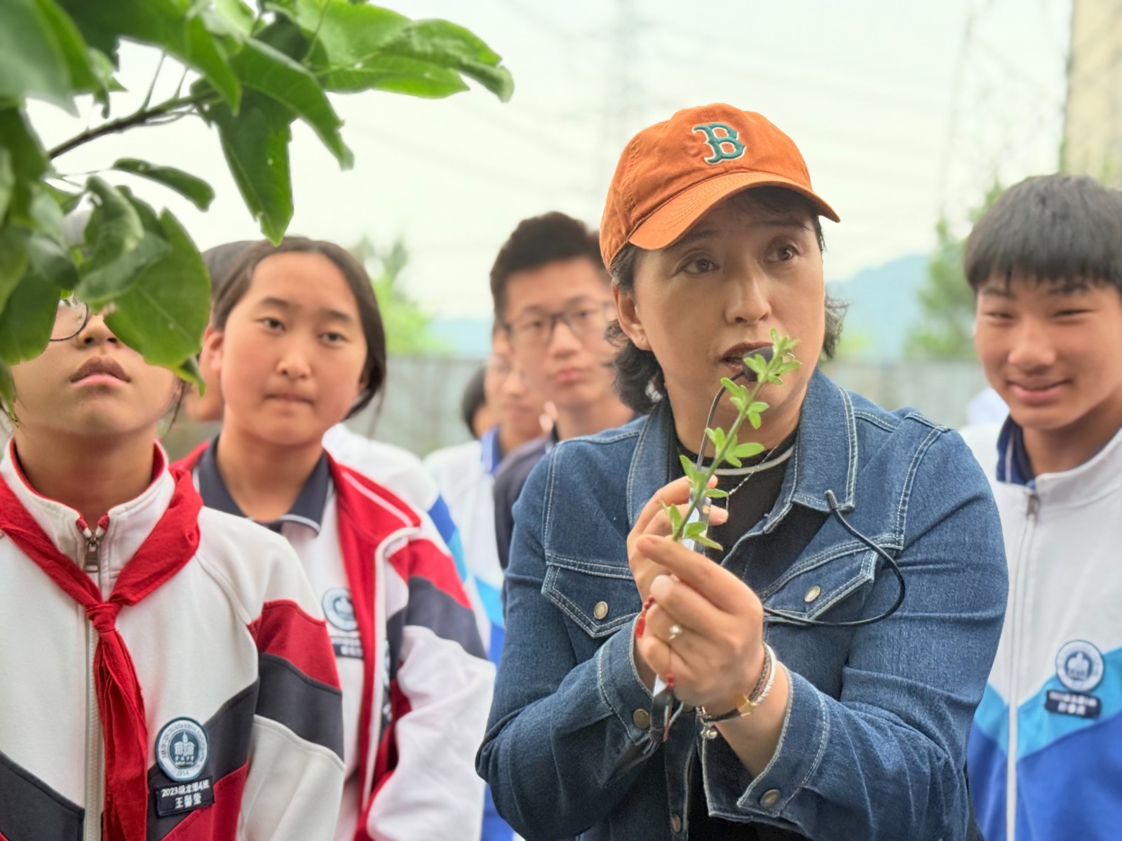 【臻美金龙】课程焕新处，蔷薇静放时——记我校成功开展第二届“蔷薇文化节”综合实践课程