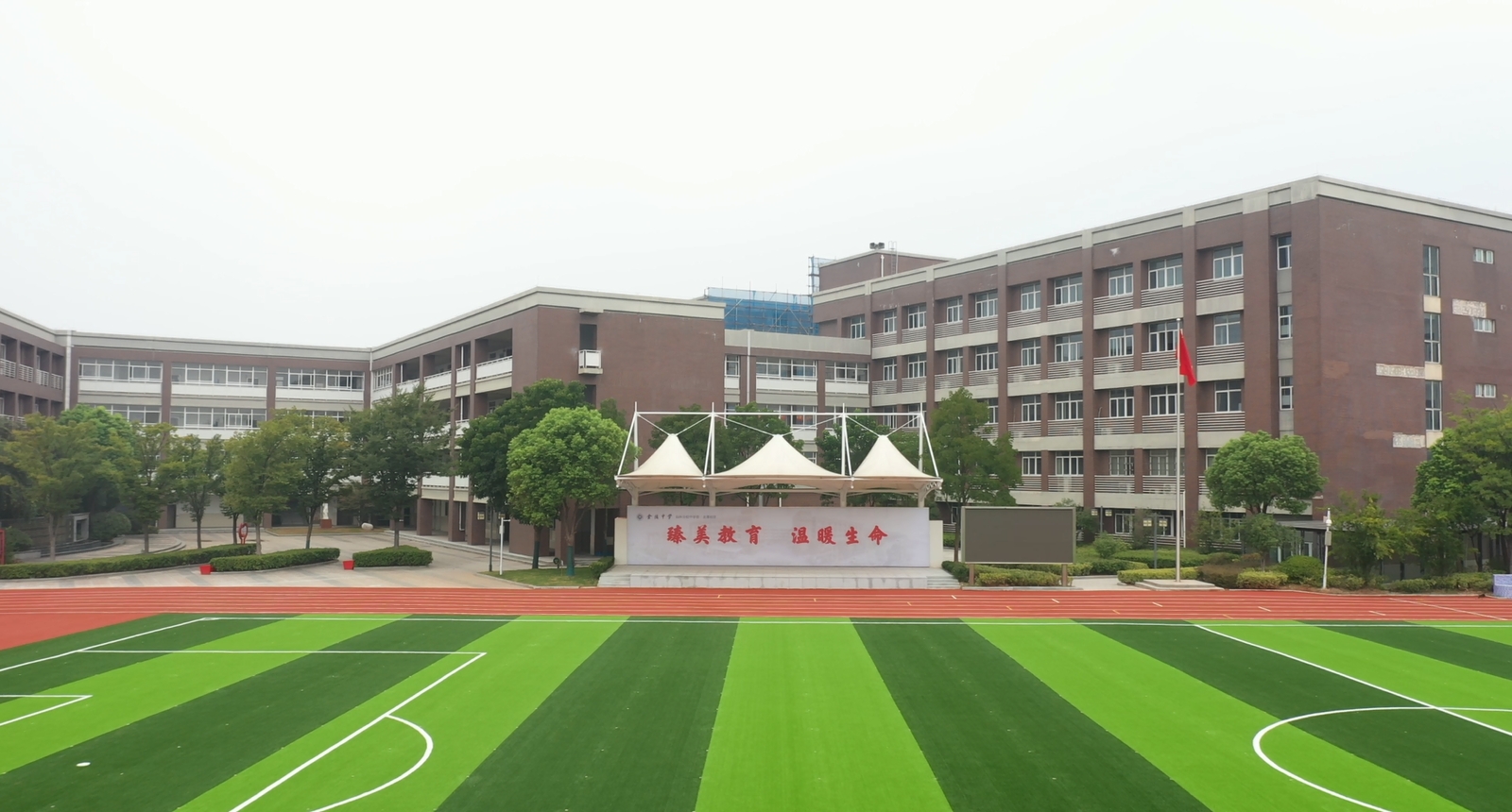 【臻美金龙】沐浴夏日生机，校园焕发醉人新颜