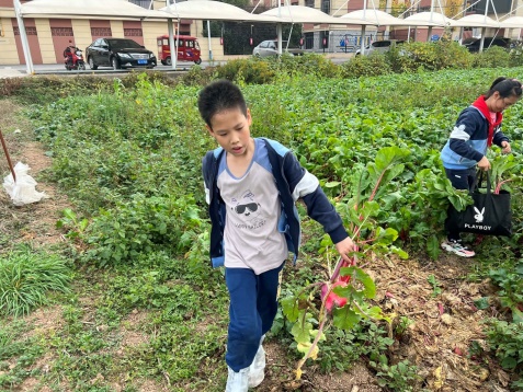 展厨艺  增技能  慧生活_html_26e92340.jpg