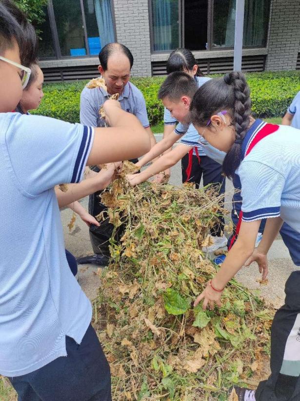 【陶娃爱劳动】秋意渐染校园 劳动尽显风采——五（4）班劳动实践小记_html_m76e8102a.jpg