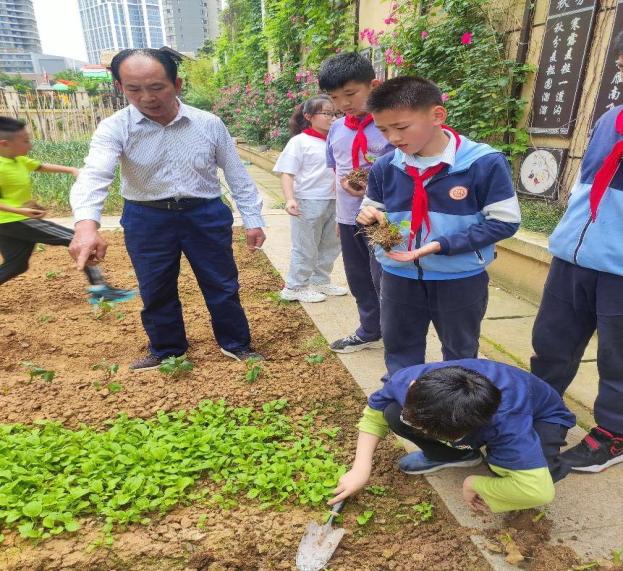 20240509劳动砺心智，实践促成长(1)_html_77432567.jpg