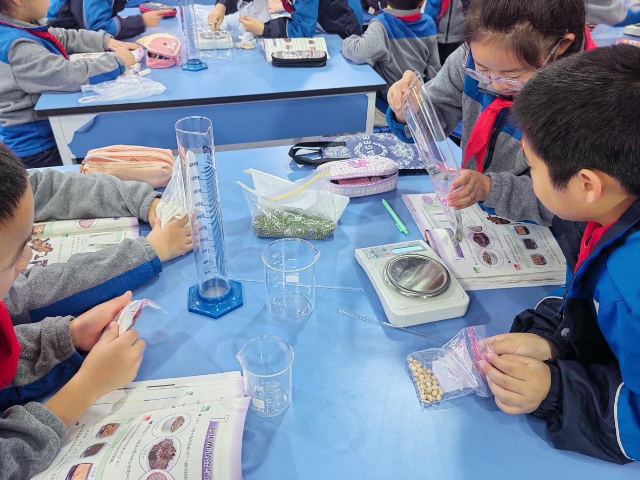 陶娃探秘固体间 跨学科融劳动美(1)_html_4504ec0d.jpg