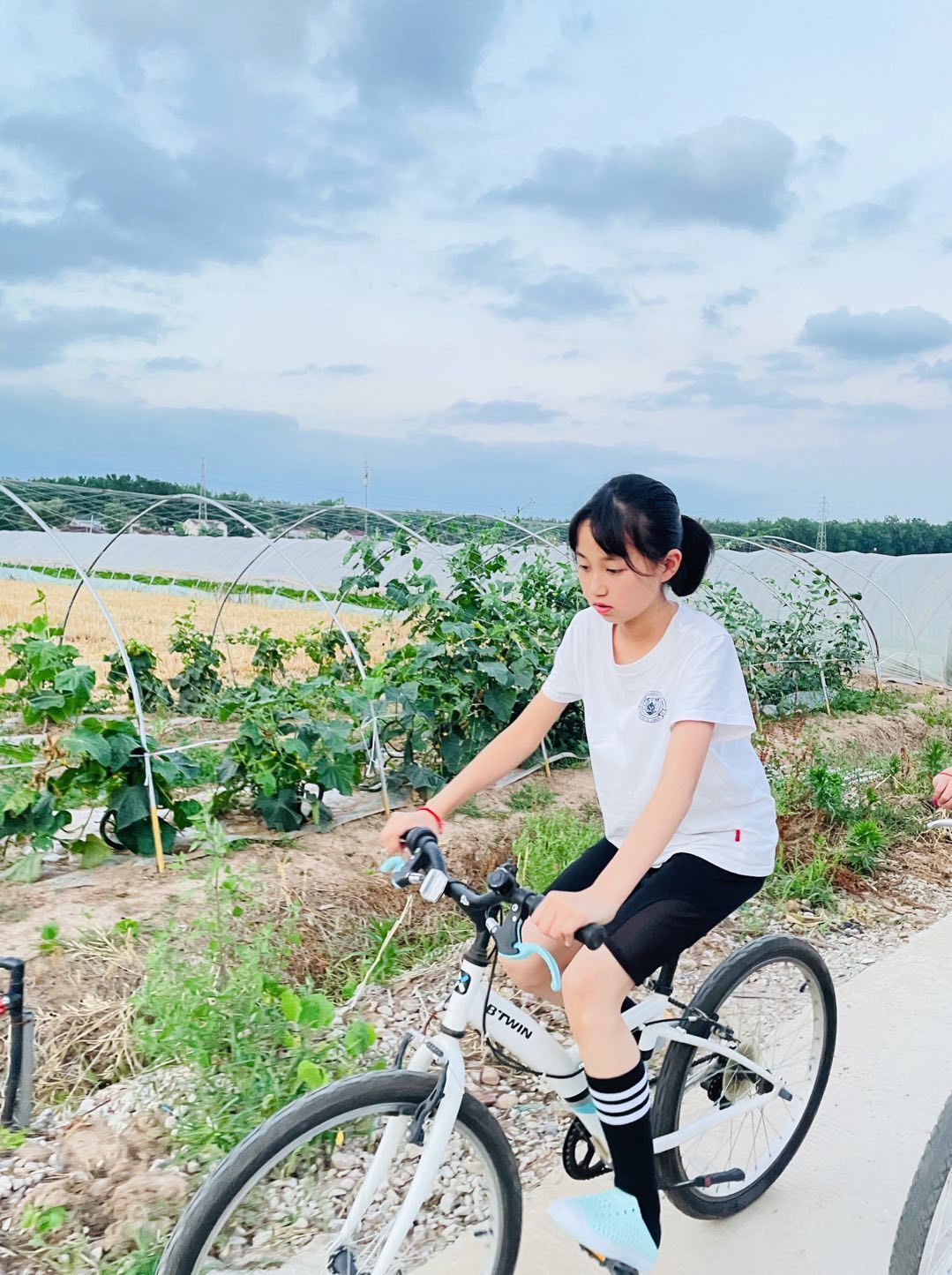 浓浓端午情 悠悠陶娃乐_html_m73d4a5ca.jpg