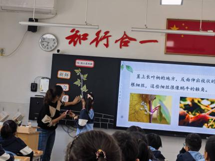 【知行晓庄】精准作业设计,精简教学流程——记南京市晓庄小学语文中段校本研修活动（五）