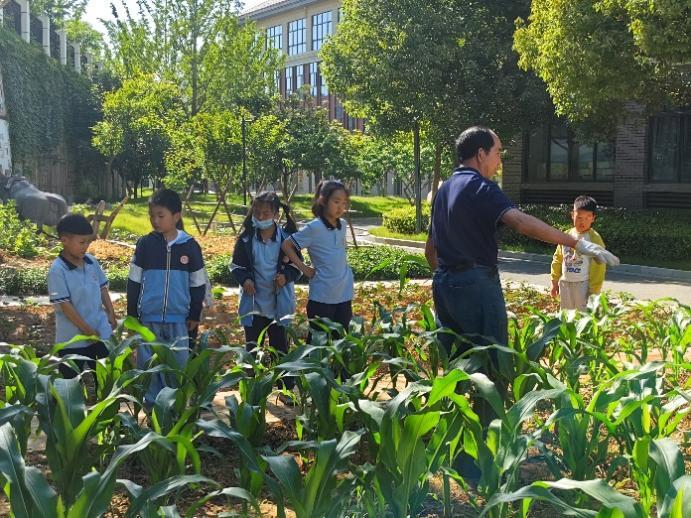【团队风采】劳动践于行，美德润于心——南京市晓庄小学小农场劳动实践系列课程