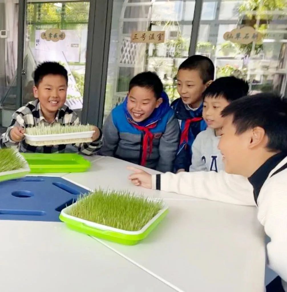 晓庄小学长程作业（转自栖霞教育）_html_m677603bc.jpg