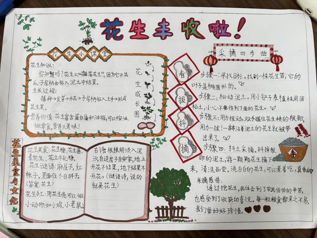 沾泥带笑：小陶娃与花生的“成长约定”_html_122beaf0.jpg