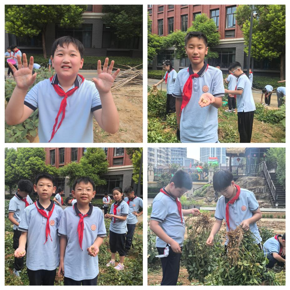 20240910致敬陶行知—不一样的教师节_html_48e94140.png