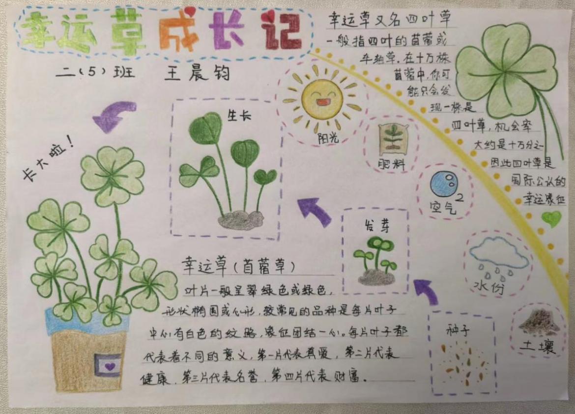 一五“种子” 长程作业(1)_html_m7458fd14.jpg