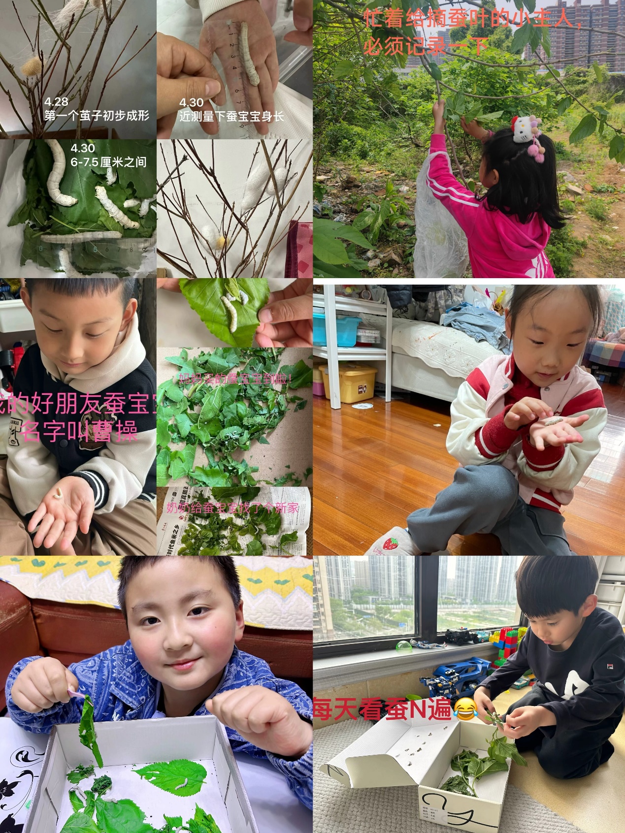 养蚕记(1)_html_m1a502470.jpg