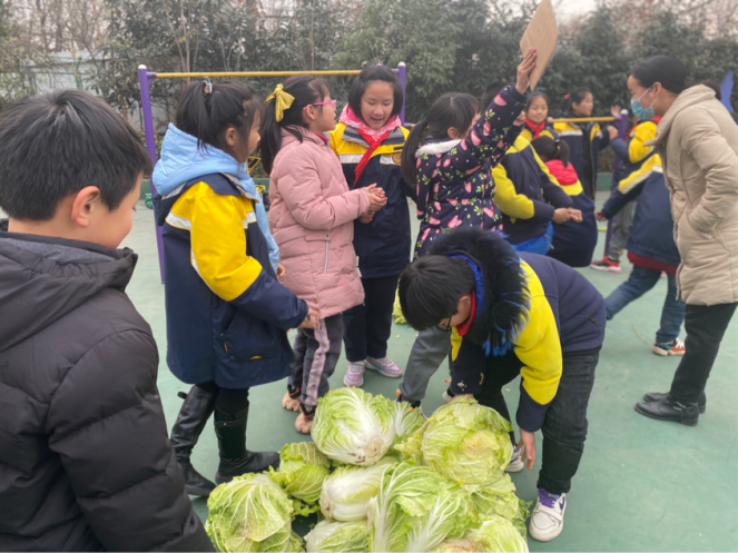 蔬菜有价，爱心无价           ——记陶娃义卖大白菜活动(1)_html_1fba58e9.png