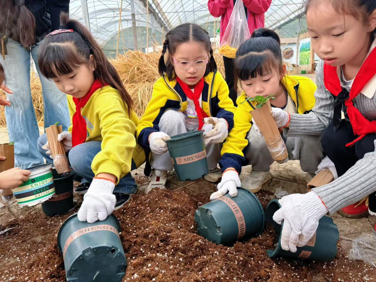 赴一场田园之约，做快乐小农夫——晓院附小三（2）班农耕体验活动2025.10(1)_html_m6542f1f2.jpg