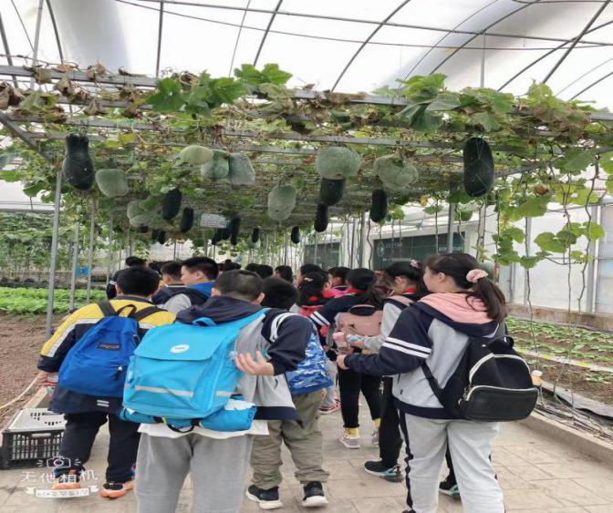 记一次快乐的秋游_html_39e89876.jpg