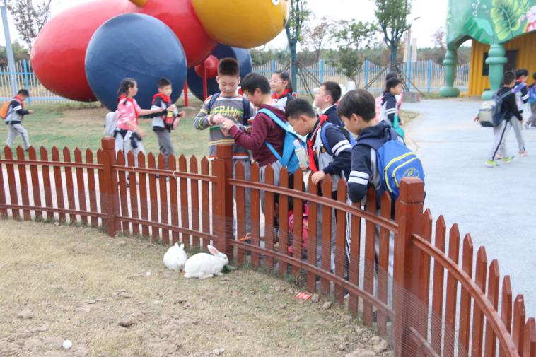 嬉戏玩耍_html_m472438e5.jpg