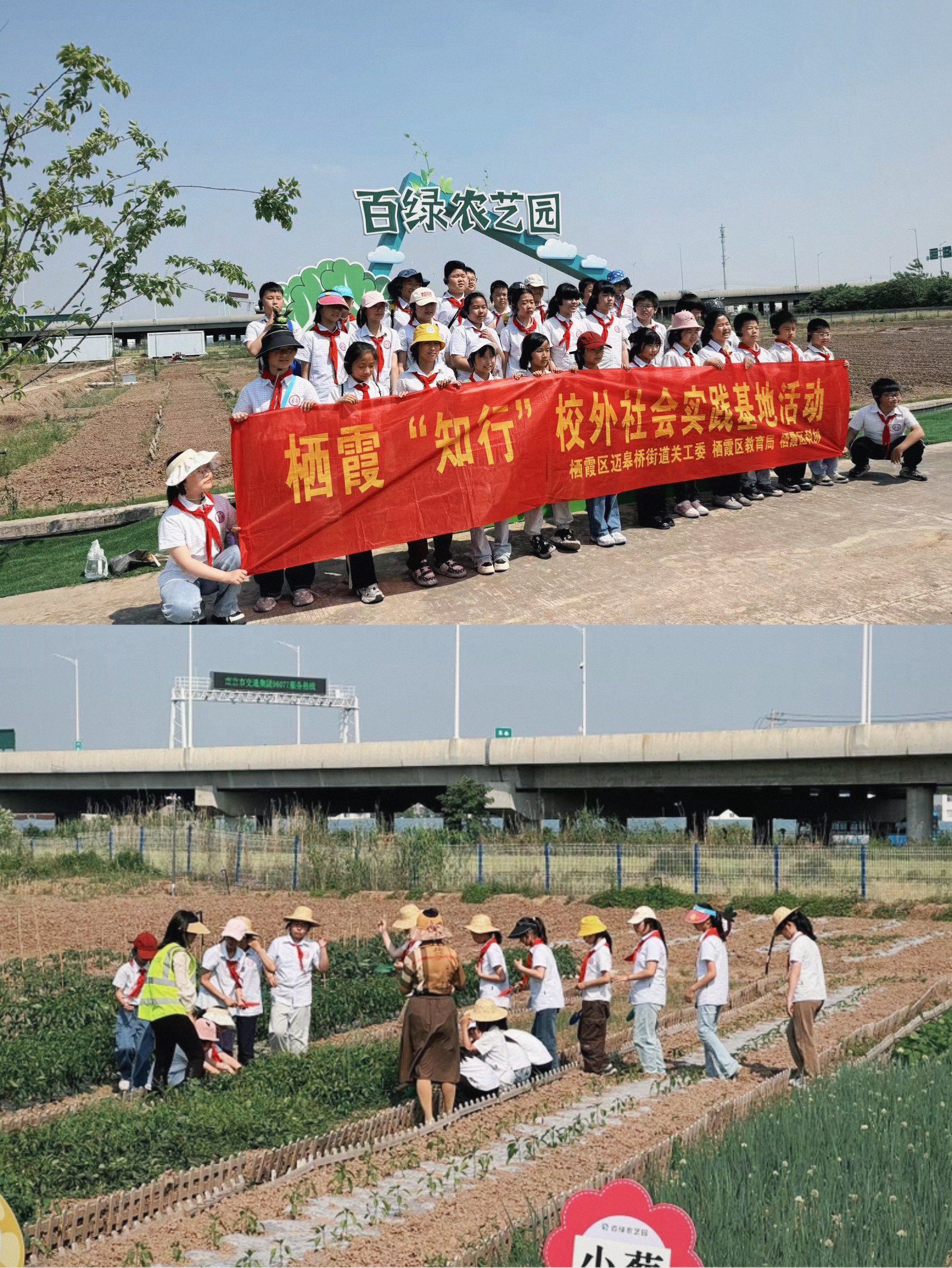 劳动出真知，实践伴成长_html_m4d4df9c0.jpg