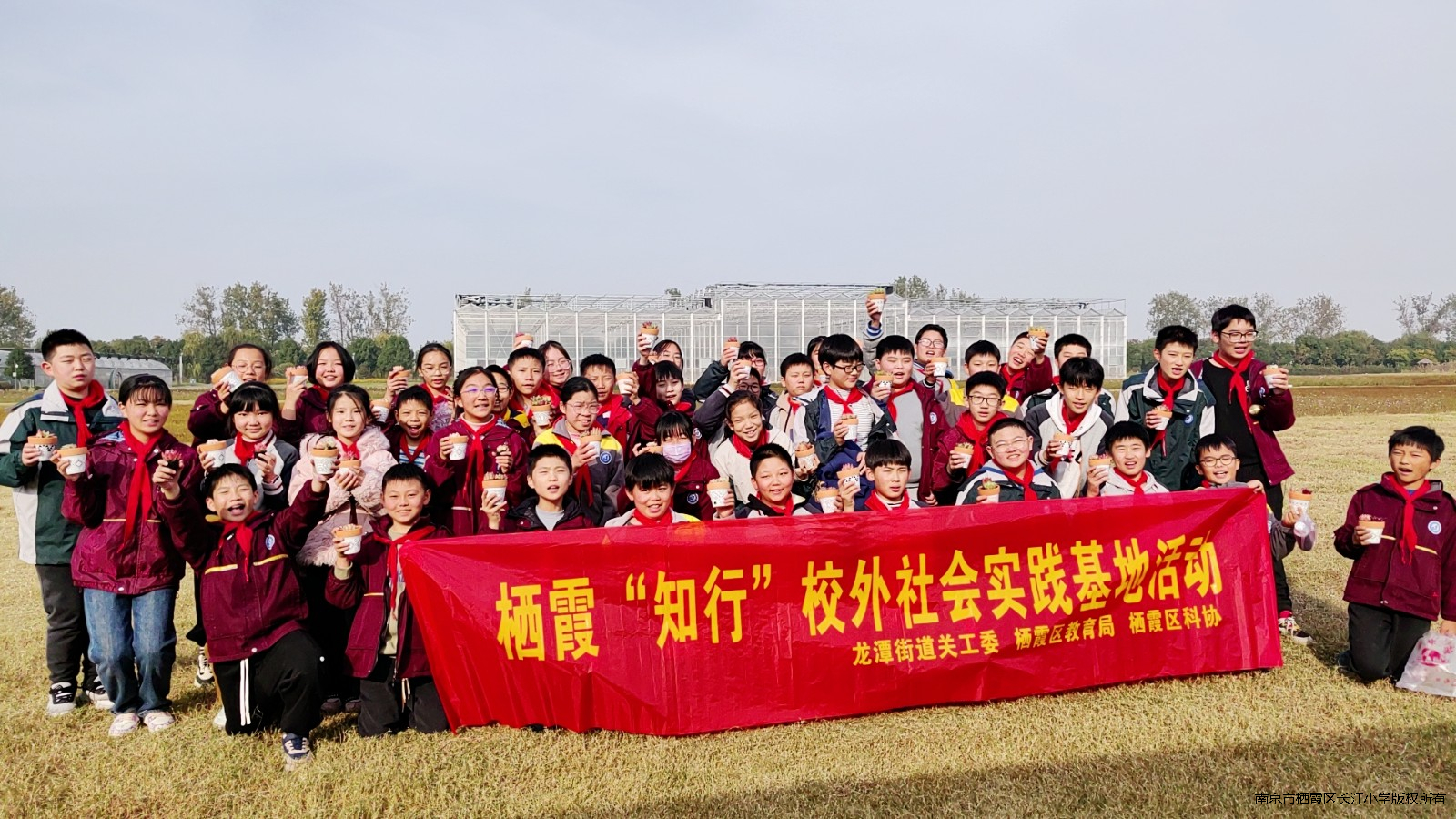 Image_1700029806989.jpg