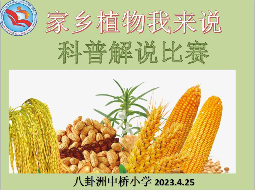 【馨惠中小·七彩德育】家乡植物我来说——八卦洲中桥小学“科普解说”比赛