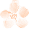 语文教研_html_372bc3ea.png