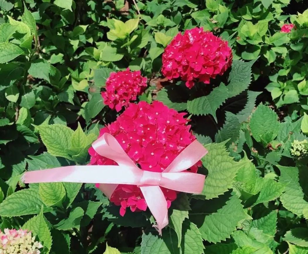 芒种_html_590ae160.jpg