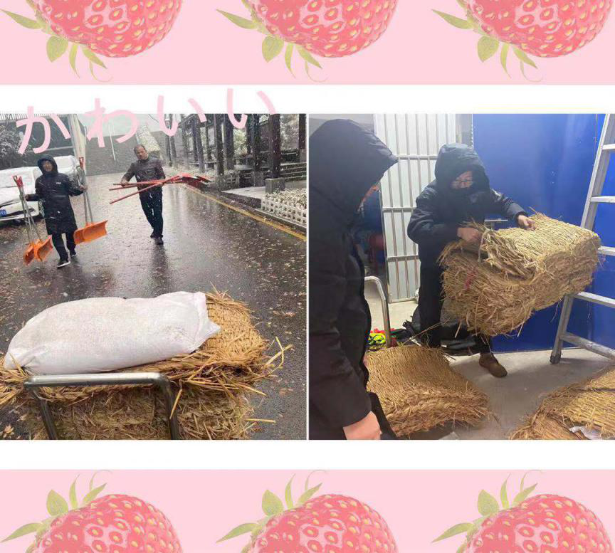 图片1.png 图片1.png