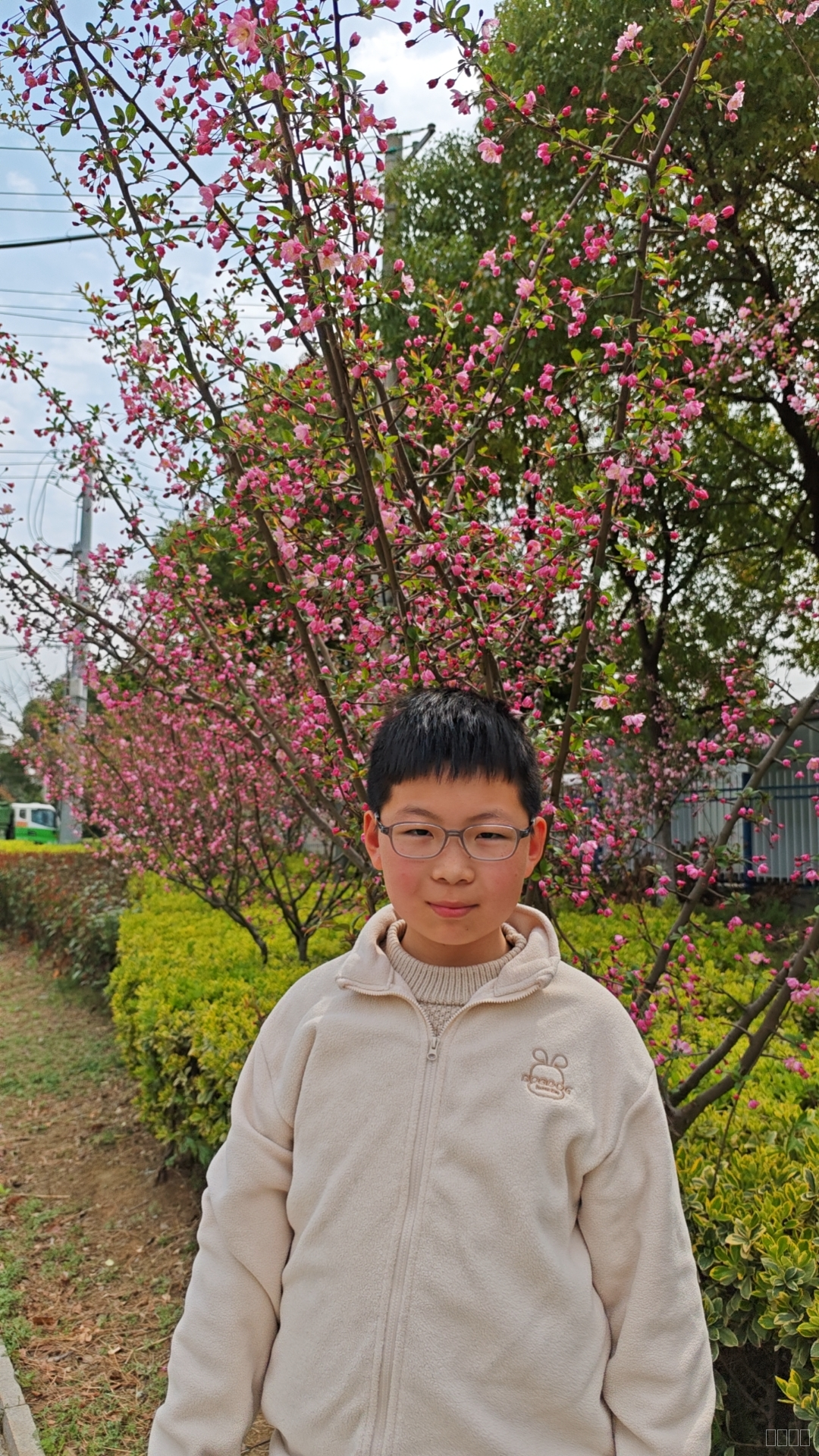 五（3）班 孙阳.png