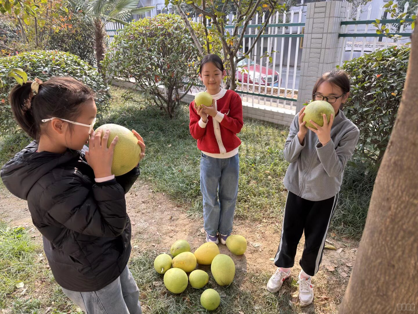 闻香橼.png 闻香橼.png