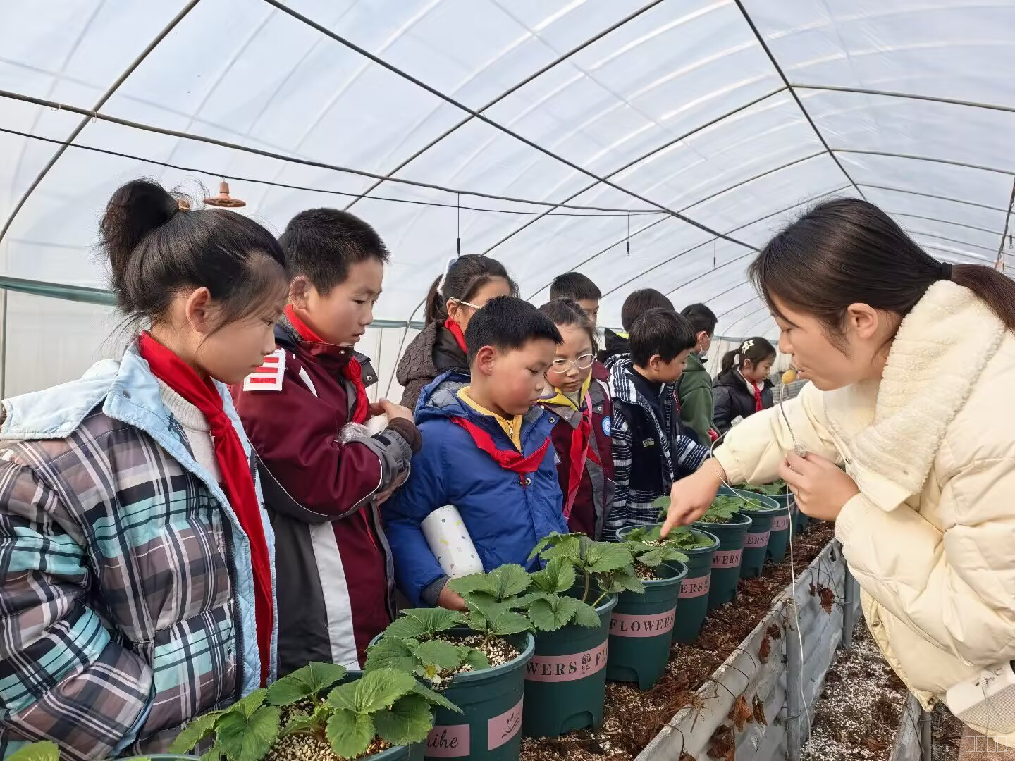 【星光摄小】劳动砺心智，实践促成长 ——摄山星城小学举行劳动实践月 暨栖霞“知行”校外社会实践基地活动报道