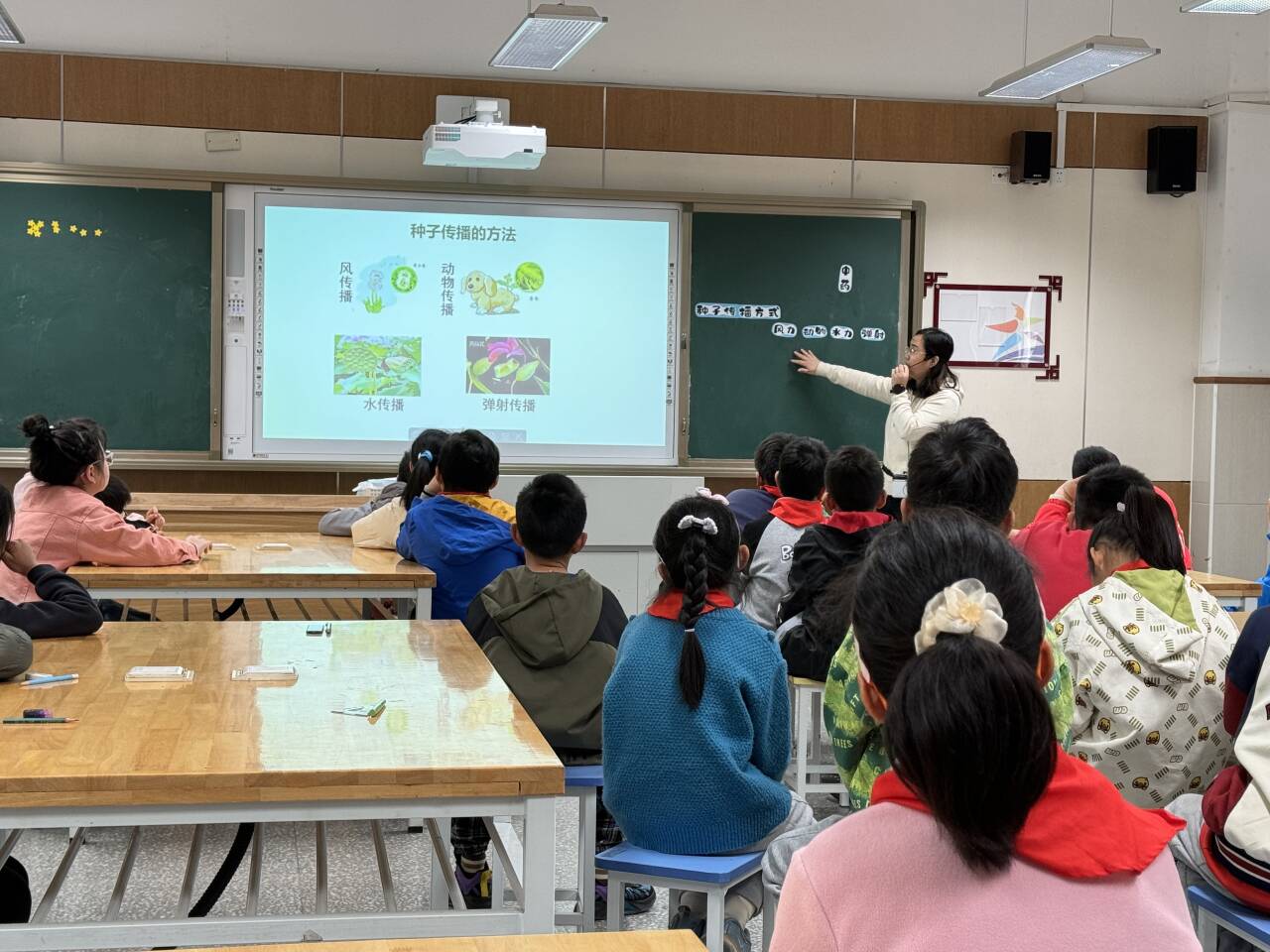 【星光摄小】基于“中草药”主题的项目化学习             ——摄山星城小学天佐路分校科学组校本研修活动（二）