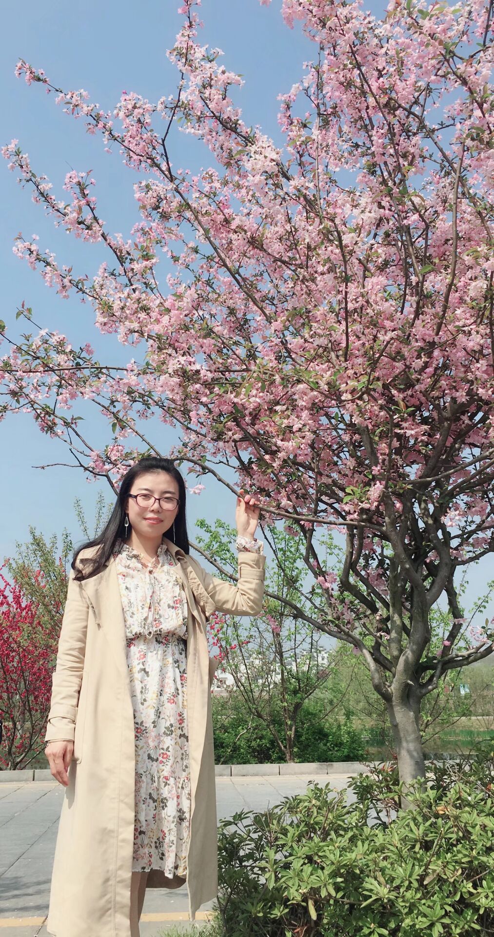 苏倩倩.jpg
