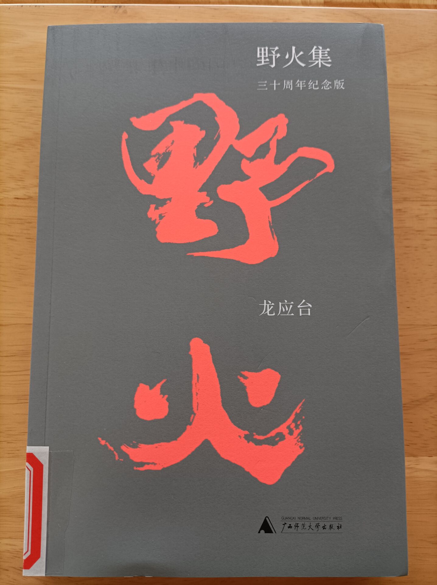 《野火》.jpg