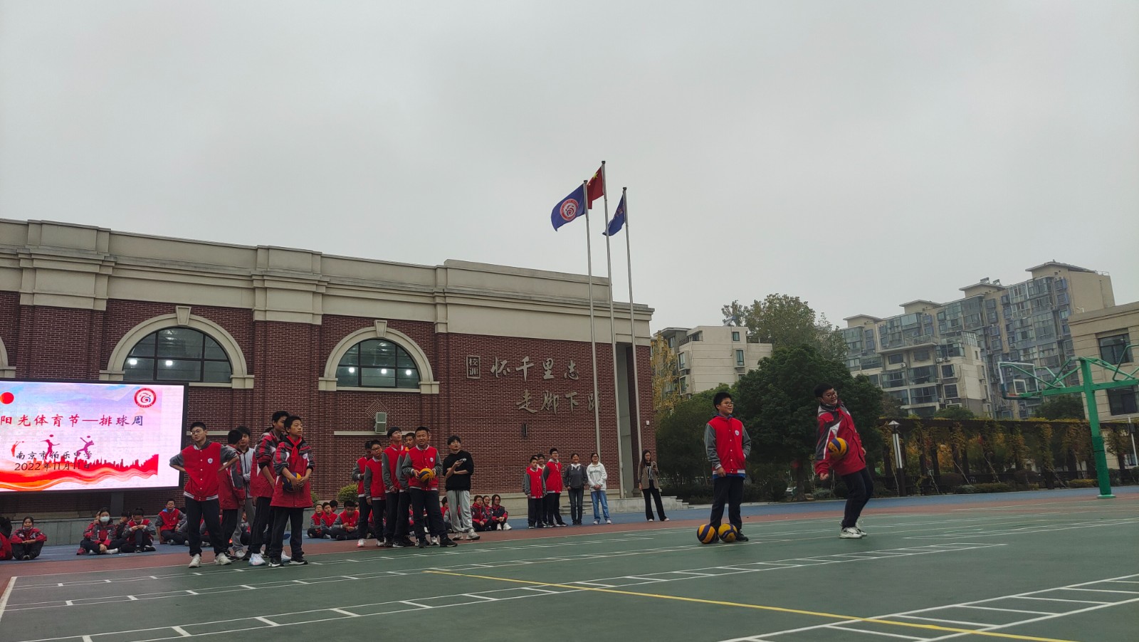 IMG_20221111_085929.jpg