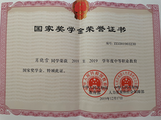 国奖获得者17物流高职 肖晓雪_html_m54a65480.png