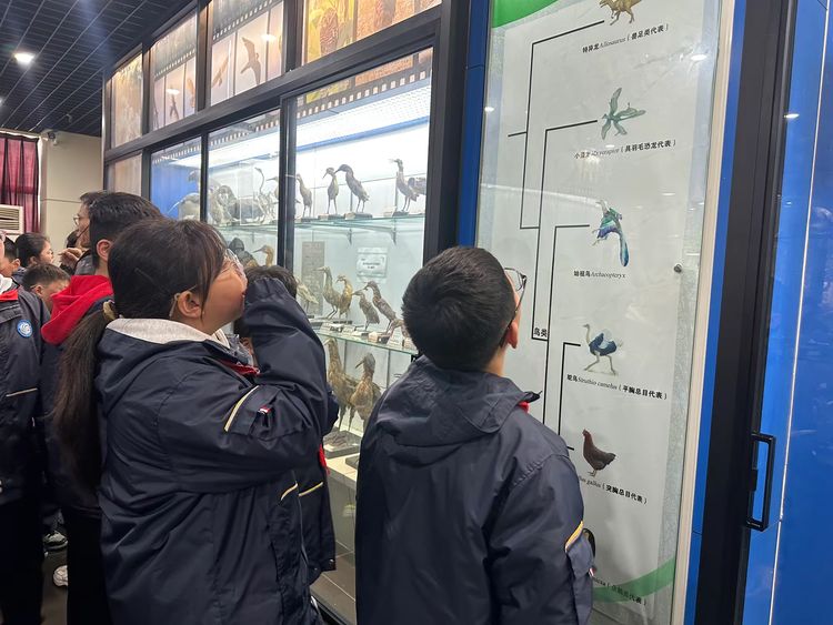 2025.3.12探秘珍稀动植物，邂逅奇妙大自然——龙潭中心小学开展“知行”校外实践活动_html_1e453a2d.jpg