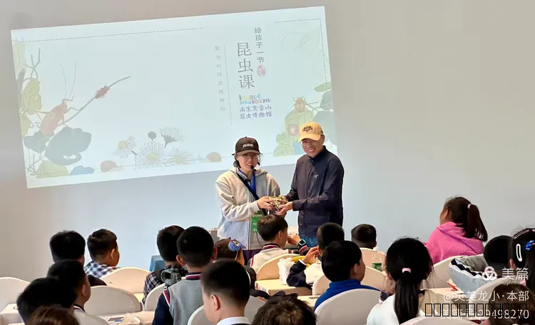 【龙岸先锋·团队活动】探秘自然，妙趣“虫”生——探索奇妙的昆虫世界