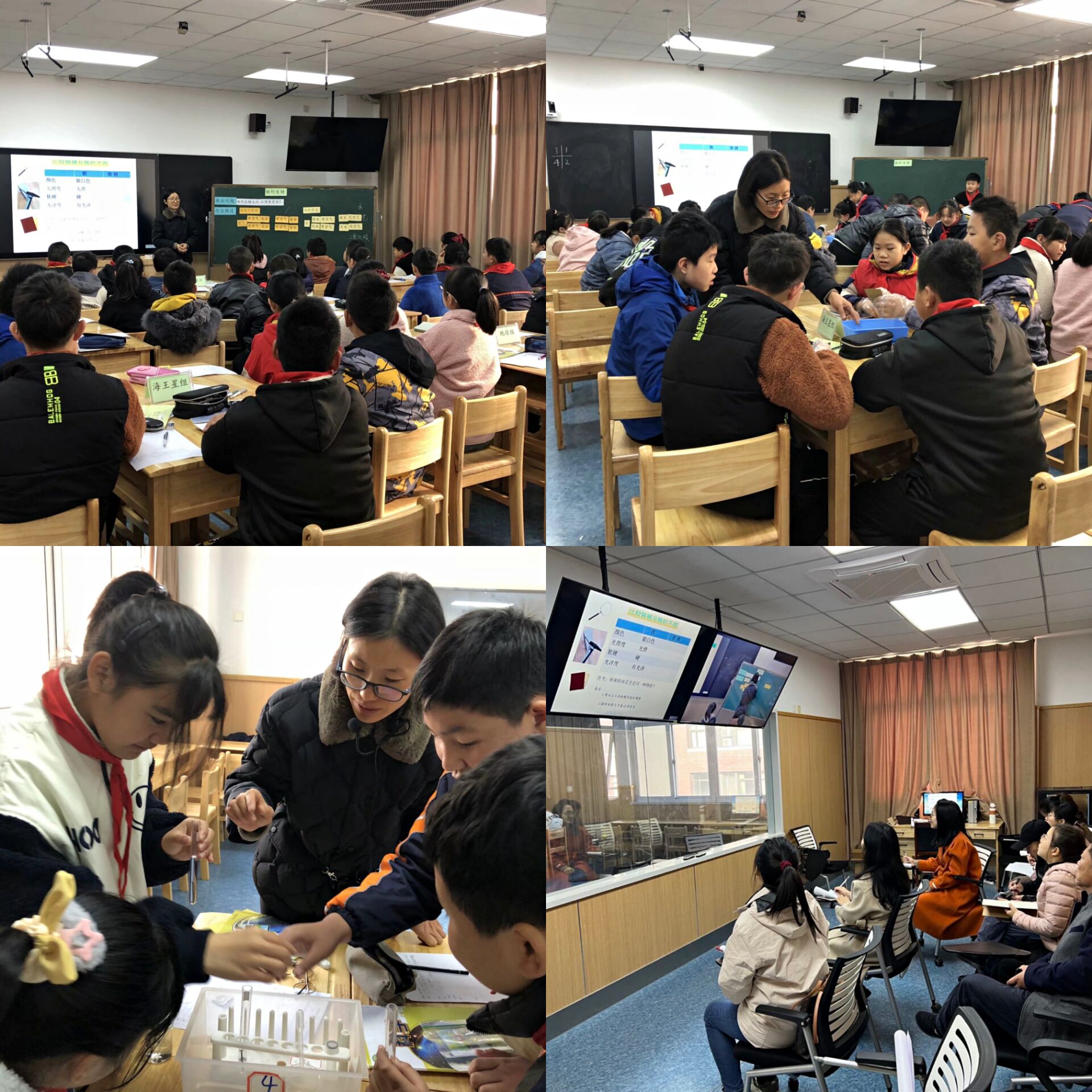 【灵美龙小】基于实验设计的评价，促进学生实验探究能力的提升