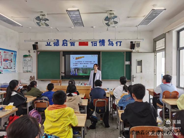 【雅韵靖小】凝心聚力，专注教研—音乐组校内教研
